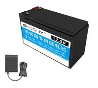 HJGHY 12v,20Ah, Batteria al Litio per spruzzatore Elettrico da 12 Volt, Batteria agli ioni di Litio da 12 V, 8 Ah, 10 Ah, 15 Ah, 20 Ah, per soffiatore Solare, applicatore di fertilizzanti