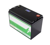 HJGHY 24v,100Ah, Batterie di Ricambio al Piombo-Acido ad Alta capacità LiFePO4 da 12 V, 24 V, 100 Ah, 200 Ah, per Camper, Golf Cart e sistemi di accumulo di energia Domestica.