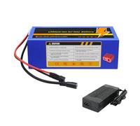 HJGHY 48v 14ah, Batteria agli ioni di Litio da 36 V 10 Ah 14 Ah 20 Ah 8 Ah Batteria per Bici elettrica da 48 V 10 Ah 14 Ah 20 Ah 8 Ah con Caricabatterie da 2 A per Motore Scooter