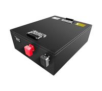 HJGHY 51.2v,50Ah, Batteria di Backup LiFePO4 da 51,2 V, 50 Ah, 100 Ah, Stazione di Alimentazione Portatile per accumulatori di energia Solare per Camper, carrelli elevatori e Caricabatterie
