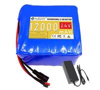 HJGHY Batteria agli ioni di litio da 24V, pacco batteria in PVC da 12Ah con caricabatteria e BMS, batteria di ricambio portatile da 24 Volt per kit di conversione motore da 50W a 300W,Anderson 24v12ah