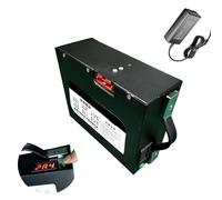 HJGHY Batteria agli ioni di Litio per carrelli elevatori elettrici da 24 Volt, 24 V, 20 Ah, per carico e Scarico, per Magazzino e logistica.