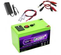 HJGHY Batteria al Litio Portatile da Esterno da 12 V 20 Ah, Batteria LiFePO4 da 12 Volt con USB e Interruttore per Pannelli solari/Applicazioni off-Grid/Illuminazione,12v20ah with Charger