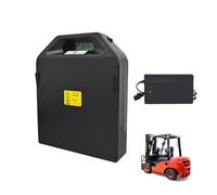 HJGHY Batteria LiFePO4 per carrelli elevatori elettrici da 24 V 20 Ah, 30 Ah e 50 Ah, Batteria agli ioni di Litio Ferro fosfato Rimovibile da 48 V 20 Ah, con caricabatteria.,24v 50ah,A
