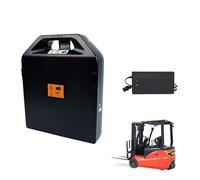 HJGHY Batteria LiFePO4 per carrelli elevatori elettrici da 24 V 20 Ah, 30 Ah e 50 Ah, Batteria agli ioni di Litio Ferro fosfato Rimovibile da 48 V 20 Ah, con caricabatteria.,48v 20ah,A