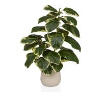 hjh OFFICE Pianta artificiale Ficus 3 - Sempreverde pianta artificiale, circa 85 cm, mix di plastica di alta qualità, facile da pulire e inodore