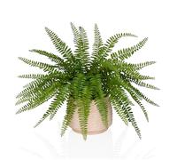 Proliferum - Piante artificiali Verde