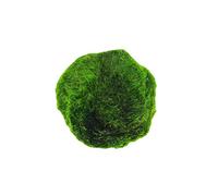 HJHIWE Palla naturale di alghe verdi per acquario, palla per acquario, palla per piante da acquario per animali domestici, piccole palline di muschio marimo, palla di alghe per accessori decorativi