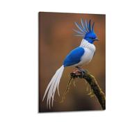hjkhjt Poster con animali, stampa artistica da parete su tela con uccellino bianco e blu con cresta muschiata, per soggiorno, camera da letto, 20 x 30 cm, con cornice