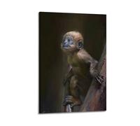 hjkhjt Poster su tela con immagine di scimmia che si aggrappa al legno, decorazione artistica da parete per soggiorno, camera da letto, 50 x 75 cm, con cornice