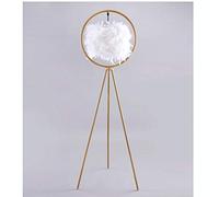 HJLJKG Floor Lamp Novelty Lamps,Floor Lamp Feather Nordic Living Room Bedroom Warm Bedside Vertical Table Lamp Golden Creative Decoration 12W Standing Light (Colore: Black)
