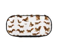 HJLUUFT Simpatico astuccio con stampa scoiattolo semplice e robusto astuccio multifunzionale per cancelleria da ufficio