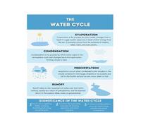 HJNAOKGWHQ Elementary Science Poster Water Cycle Process Labeled Diagram For Homeschool Kindergarten First Grade Classroom Decor(Framed,12X18inch(30X45cm))