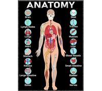 HJNAOKGWHQ The Human Body Systems Poster, Comprehensive Anatomy Reference Chart, Large Science Wall Art for Teachers, Students & Clinics(Framed,16x24inch(40x60cm))
