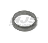 HJS 83 12 1834 Guarnizione Tubo di Scarico per BMW 3er Coupé E46 E92