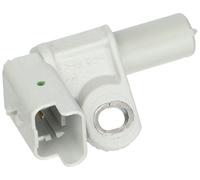 HJS 92 09 6009 impianto iniezione