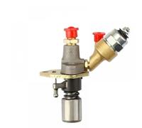 HJXcTRH Pompa di iniezione 'iniettore di Carburante con solenoide Compatibile con Il generatore di Motori L100 186 186F 406cc 186FA 5KW 5.5KW Spedizione Gratuita