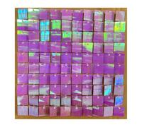 HKABCXT Paillettes Shimmer Wall Sfondo 6/12/24 Pezzi Pannelli da Parete con Sfondo Glitterato colorato, Pannelli Quadrati Dorati Lucidi, sfondi for Feste di Compleanno e Matrimoni(Beige,6 PCS)