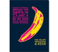 HKAHF AJWUQ Famosi Poster di Andy Warhol 《Bananan Pop》 Arte della Parete Pittura su Tela Astratta di Mostra Andy Warhol Stampe per la Decorazione Domestica Immagine 60x80cmx1 Senza Cornice