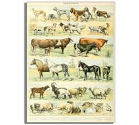 HKAHF AJWUQ Famoso Claude Monet Wall Art Poster Giardino Claude Monet Stampe Moderna Pittura su Tela per Soggiorno Home Decor Immagini 50x70cm Senza Cornice