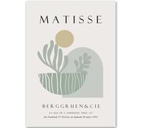 HKAHF AJWUQ Henri Matisse Wall Art 《Botanica Nera》Poster Henri Matisse Mostra Dipinti su Tela Stampe retrò per Decorazione della Camera Immagine 20x30cmx1 Senza Cornice