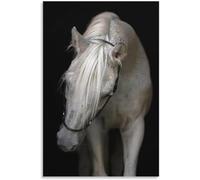 HKAHF AJWUQ Horses Relations Poster Acconciatura Arte della Parete Barber Shop Puntelli Stampe Pittura su Tela Moderna per Barber Shop Room Decor Picture 40x60cmx1 No Frame