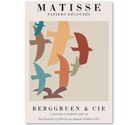 HKAHF AJWUQ Poster Famosi di Henri Matisse《Fiori di Corallo》Arte della Parete Henri Matisse Dipinti su Tela Stampe retrò per Decorazione della Camera Immagine 15x20cmx1 Senza Cornice