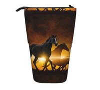 HKHLHLH Astuccio portapenne telescopico con nuvole luminose di cavalli neri, per ragazze, ragazzi e studenti, Nero , Taglia unica, Organizer per borse