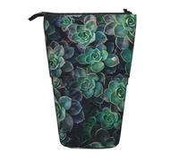 HKHLHLH Astuccio telescopico con supporto verticale per contenere le piante grasse, per ragazze, ragazzi, studenti, Nero , Taglia unica, Organizer per borse