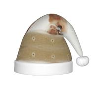 HKHLHLH Cappello di Babbo Natale con corgi che canta, cappello di Natale per spettacoli teatrali ed eventi scolastici, cappello di compleanno cappello di Natale