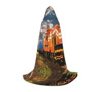 HKHLHLH Costume da strega da treno merci, mantello con cappuccio per adolescenti, ballo in maschera, feste di Halloween, cosplay