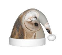 HKHLHLH Divertente cappello di Babbo Natale con gufo canto, cappello di Natale per spettacoli teatrali ed eventi scolastici, cappello di compleanno cappello di Natale