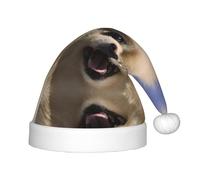 HKHLHLH Simpatico cappello di Babbo Natale canto Pomerania, cappello di Natale per spettacoli teatrali ed eventi scolastici, cappello di compleanno cappello di Natale