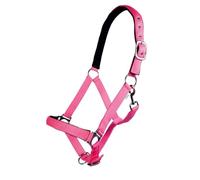 HKM 27858045.0651 - Cavezza Star Softice-, con Fondo Morbido, Sangue Caldo, Rosa Neon