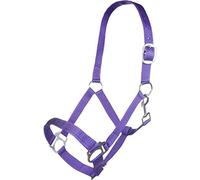 HKM 4057052242472 - Cavezza Innsbruck-3500 Lilashetty