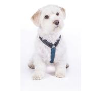 HKM Anam Cara Basic Imbracature per cani Bluscuro/Petrolio L