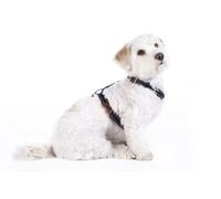 HKM Anam Cara Basic Imbracature per cani Nero/Rosa Oro S