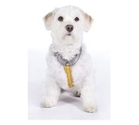 HKM Anam Cara Basic Imbracature per cani Talpa/Giallo Oro M