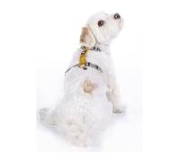 HKM ANAM Cara - Pettorina per cani tortora/giallo oro S