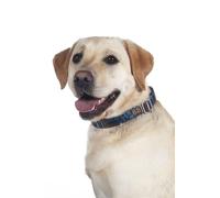 HKM Anam Cara Collare per cani Taupe/Goldgelb M