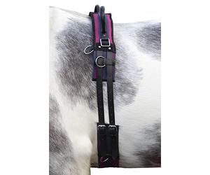 HKM Canvas Cintura Navy/Rosa Passione Sangue caldo