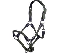 HKM Carlotta Cavezza Cachi Pony