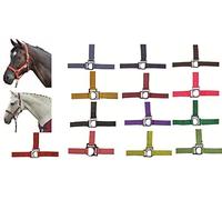 HKM - Cavezza Stars, con Rivestimento Morbido, Colore: Blu Chiaro, Sangue Freddo