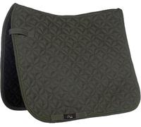 HKM Daphne Sottosella Cachi Dressage