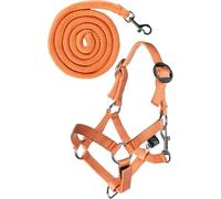HKM Hobby Horsing - Set di cavezza e maglia per cavallo (arancione)