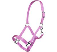 HKM Innsbruck - Cavezza rosa