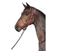 HKM Set Halter e Cordino Velluto Lampone COB (Sangue)