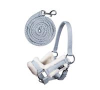 HKM SPORTS EQUIPMENT Hobby Horse - Set di cavezza (grigio)