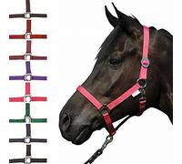 HKM SPORTS EQUIPMENT Stelle Economia Capezza, Verde Chiaro, Cold-Blooded