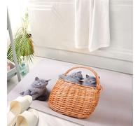 HKPOEQ Tappeto Bagno 50 x 80 cm,Tappetino in Microfibra, Tappeti Assorbente Antiscivolo,Gattino, tre gatti nnici, gattini in un cesto, adorabili cuccioli, animali domestici,Soffice Tappetini Doccia